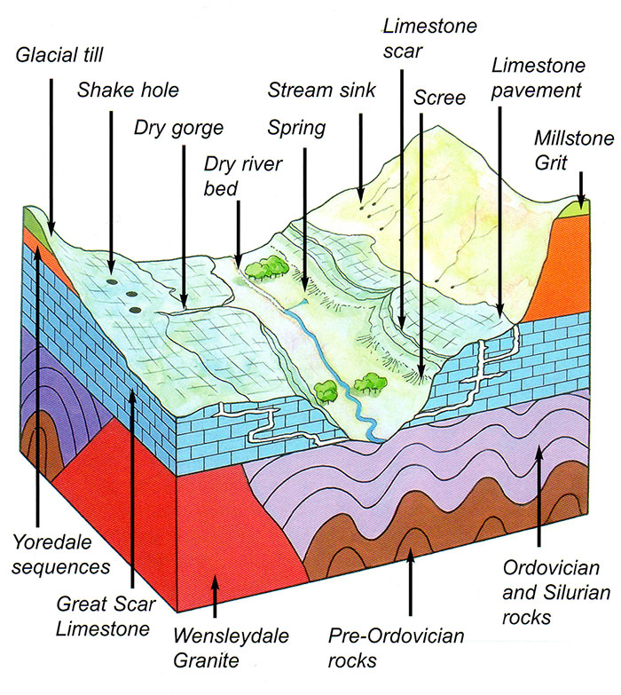 Quaternary – Caves and Limestone Pavements - NYGP